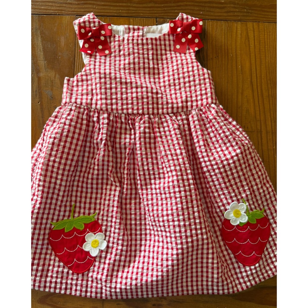 Counting Daisies 2t Girls Red Gingham Strawberry Applique Seersucker Dress
